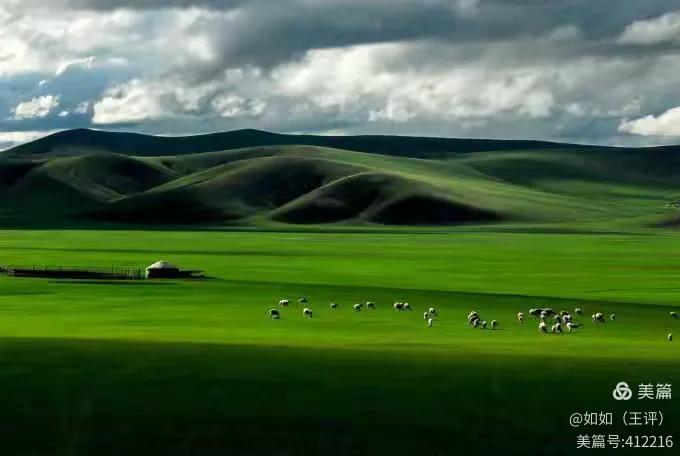 七月的呼仑贝尔大草原.....